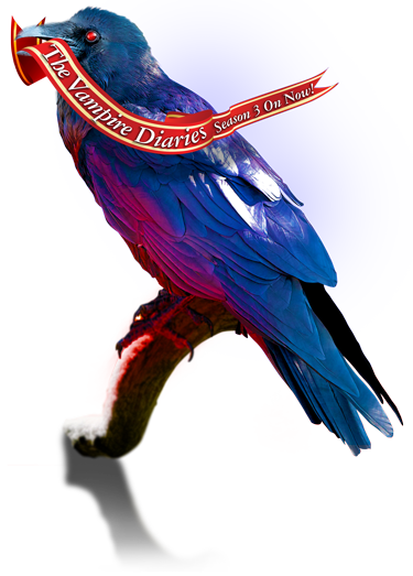 img raven 500wide